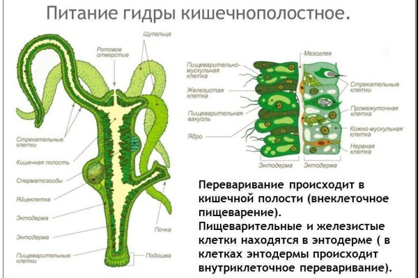 Даркнет мега top books net