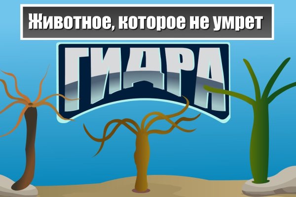 Мега 20 даркнет