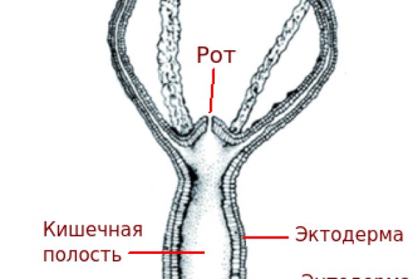 Мега ссылка для тора